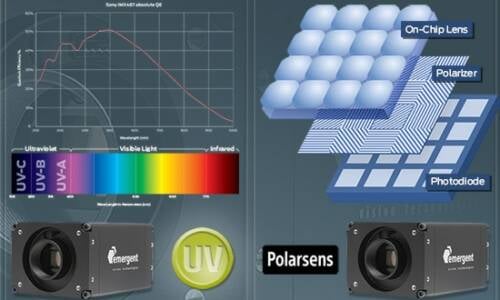 Machine Vision Cameras for Ultraviolet and Polarization Imaging