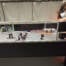 Researchers at Vrije Universiteit Amsterdam are pioneering a novel imaging technique known as phototransient holographic imaging using the HZ-21000-G 100GigE camera from Emergent Vision Technologies.
